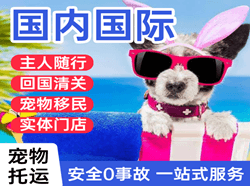 锦州湾航空快运国际宠物托运 【国